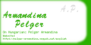 armandina pelger business card